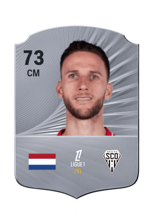 Branco van den Boomen