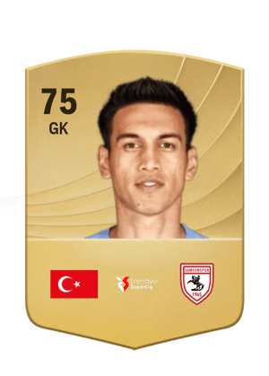 İrfan Can Eğribayat