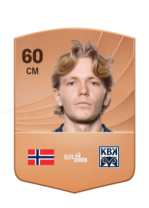 Heine Gikling Bruseth