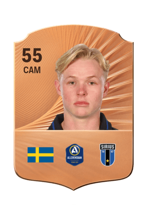 Hugo Andersson Mella