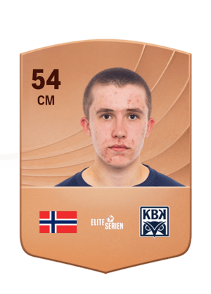 Herman Sjåvik Opsahl