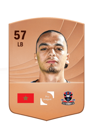 Nail Moutha-Sebtaoui