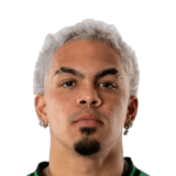 Dani Pereira