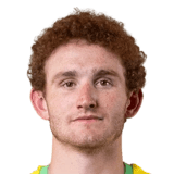 Josh Sargent