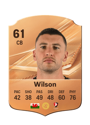 Wilson - 61 - Rare