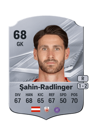 Şahin-Radlinger - 68 - Rare