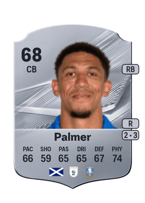 Palmer - 68 - Rare