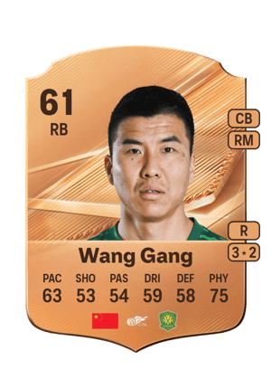 Wang Gang - 61 - Rare