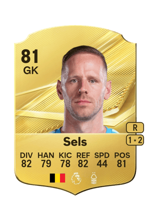 Sels - 81 - Rare