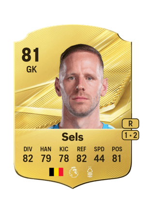 Sels - 81 - Rare