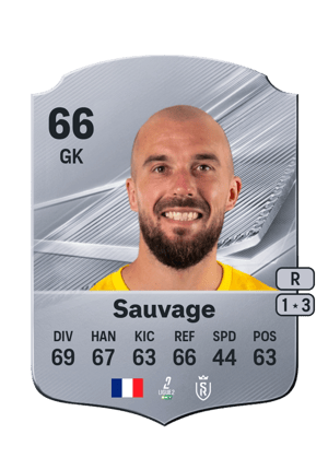 Sauvage - 66 - Rare