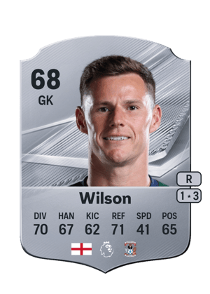 Wilson - 68 - Rare