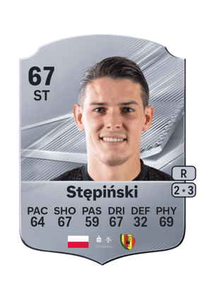 Stępiński - 67 - Rare
