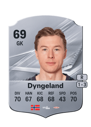 Dyngeland - 69 - Rare
