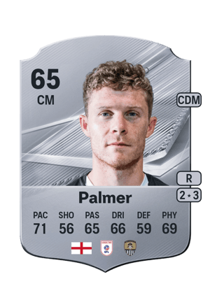 Palmer - 65 - Rare