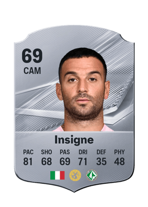 Insigne - 69 - Rare