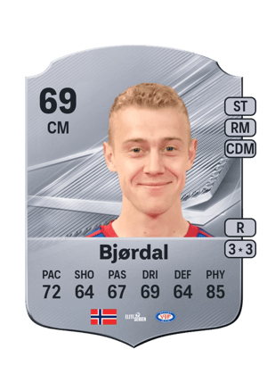 Bjørdal - 69 - Rare