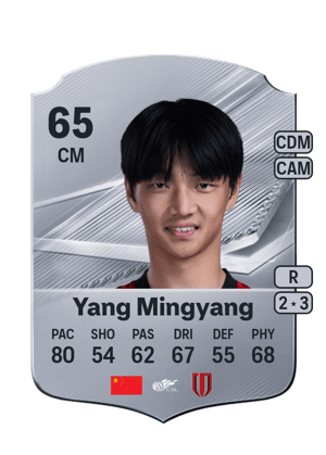 Yang Mingyang - 65 - Rare