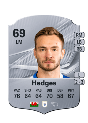Hedges - 69 - Rare