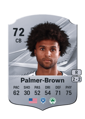 Palmer-Brown - 72 - Rare