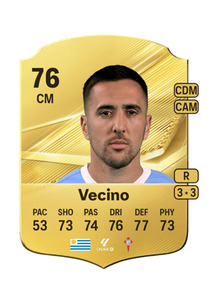 Vecino - 76 - Rare