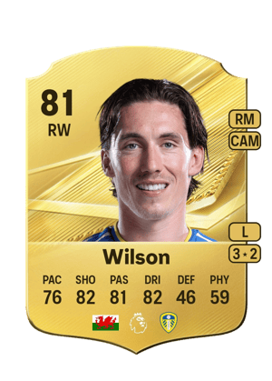 Wilson - 81 - Rare