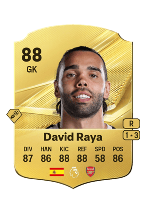 David Raya - 88 - Rare