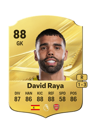 David Raya - 88 - Rare