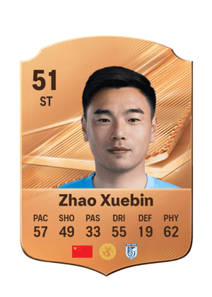 Zhao Xuebin - 51 - Rare