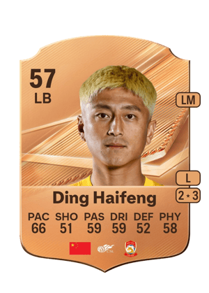 Ding Haifeng - 57 - Rare