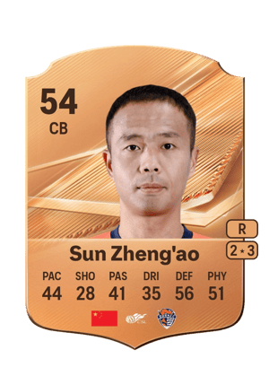 Sun Zheng'ao - 54 - Rare