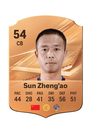 Sun Zheng'ao - 54 - Rare