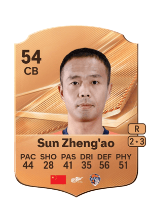 Sun Zheng'ao - 54 - Rare