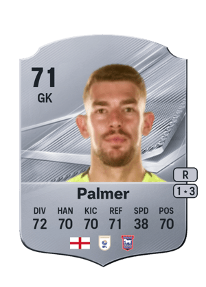 Palmer - 71 - Rare