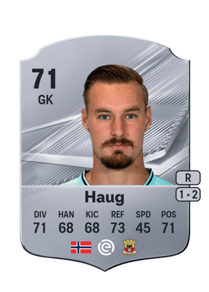 Haug - 71 - Rare