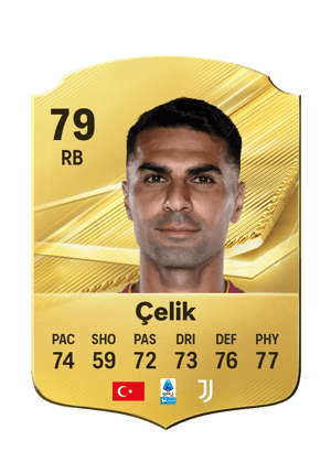 Çelik - 79 - Rare