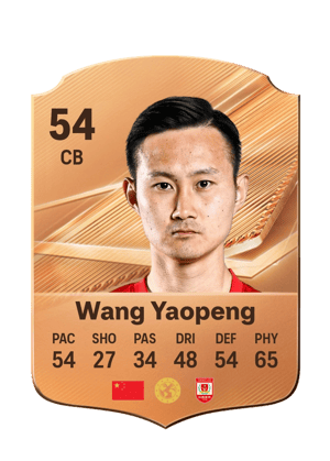 Wang Yaopeng - 54 - Rare