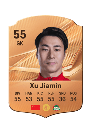 Xu Jiamin - 55 - Rare