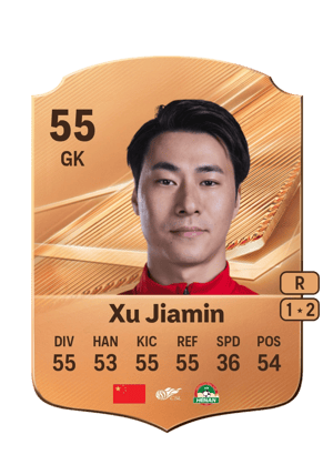 Xu Jiamin - 55 - Rare