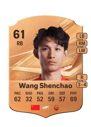 Wang Shenchao - 61 - Rare