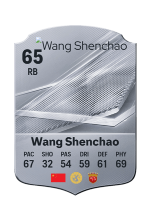 Wang Shenchao - 61 - Rare
