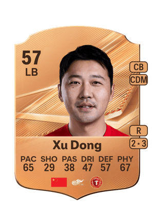 Xu Dong - 57 - Rare