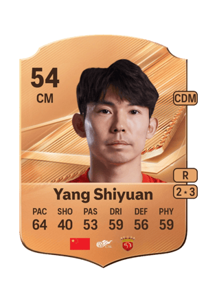 Yang Shiyuan - 54 - Rare