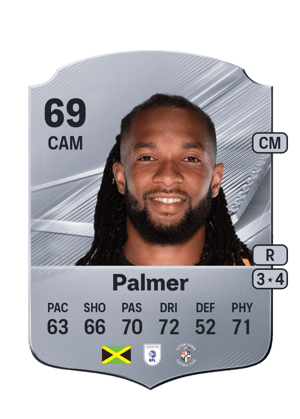 Palmer - 69 - Rare