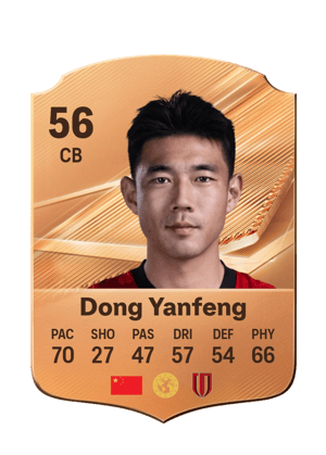 Dong Yanfeng - 56 - Rare