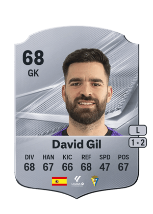 David Gil - 68 - Rare