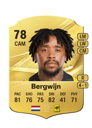 Bergwijn - 78 - Rare