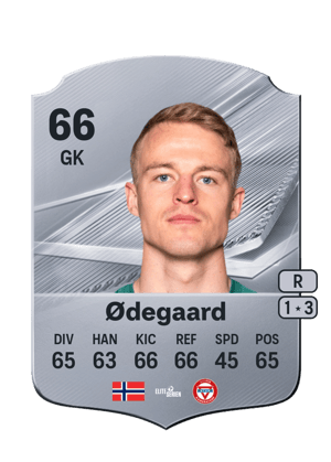 Ødegaard - 66 - Rare
