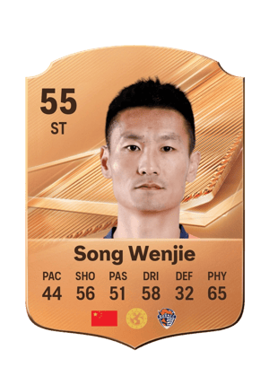 Song Wenjie - 55 - Rare