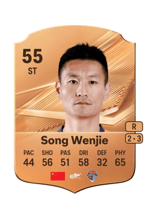 Song Wenjie - 55 - Rare